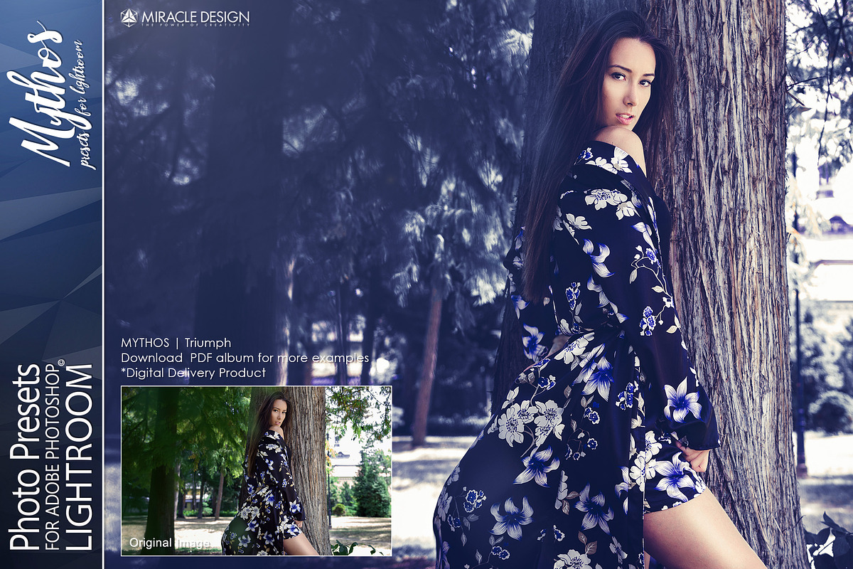 Presets for Lightroom / Reflection, an Action Add-On by Miracle_Design (Photo 10 of 31)