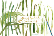 Double Daffodils, an Illustration by watercolorwild.graphics (Thumbnail 5 of 6)
