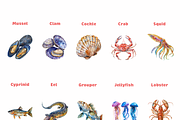20 Watercolor Sea Animals PNG, an Animal Illustration by DesignBTF (Thumbnail 2 of 4)