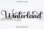 Winterland, a Handwritten Font by FreshTypeINK (Thumbnail 1 of 8)