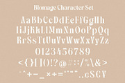Blomage - Bold Serif Font, a Serif Font by Almeera Std (Thumbnail 4 of 6)