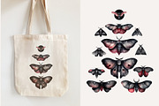 Watercolor Moths: PNG Clipart Set, an Object Graphic by Lumitar (Thumbnail 3 of 4)