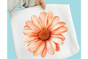 Watercolor Summer Daisy Clipart, an Illustration by designcity5 (Thumbnail 4 of 5)
