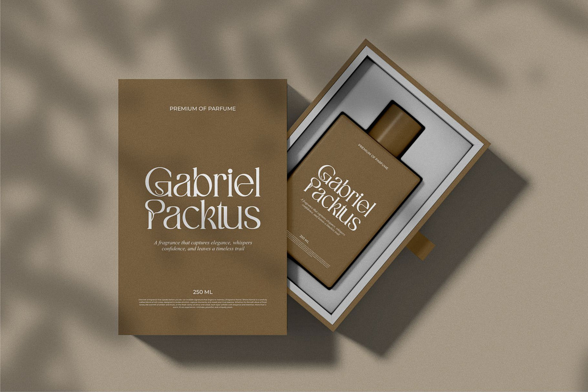 Regina || Modern Serif Font, a Serif Font by Idea Studio (Photo 10 of 10)