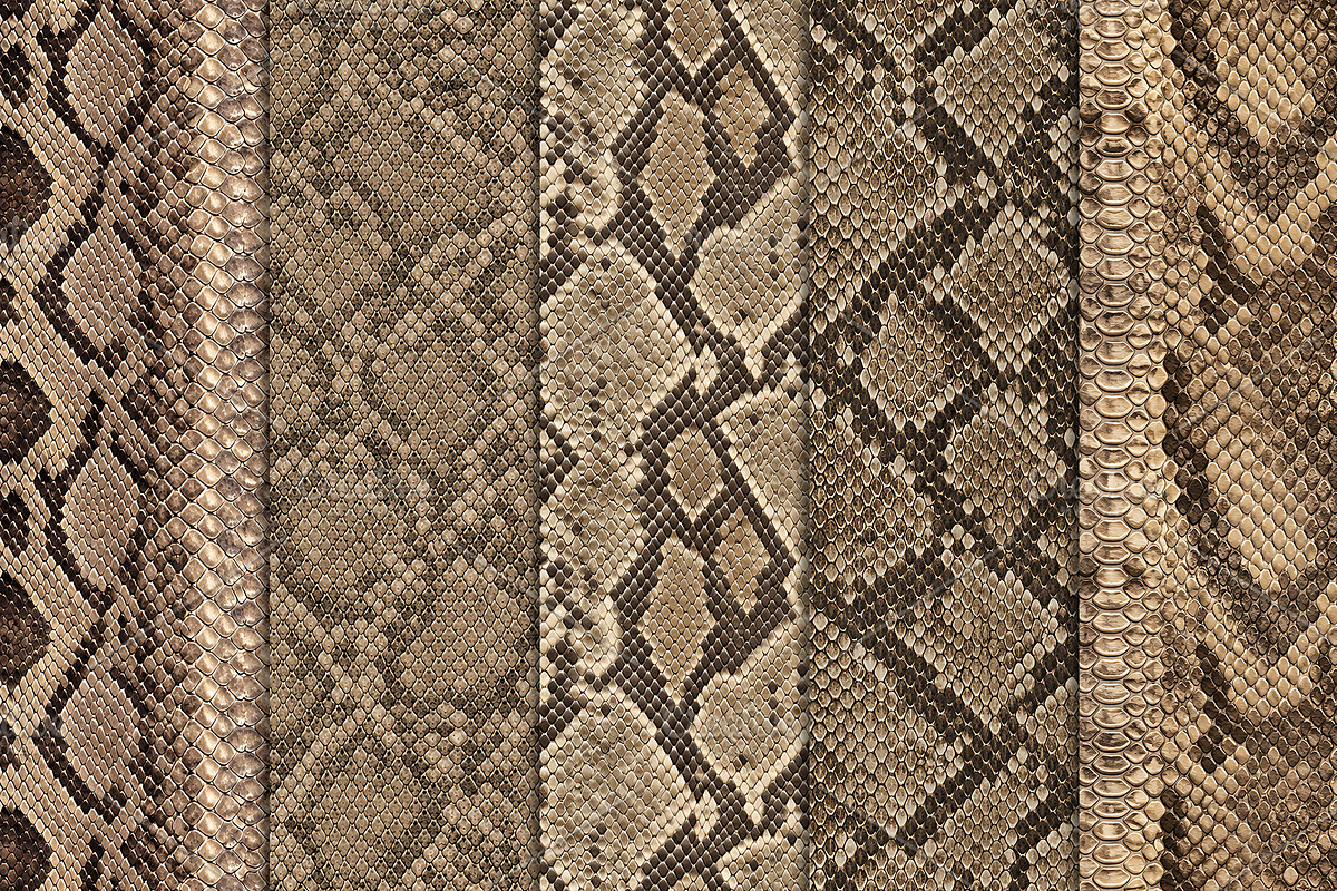 Realistic Snake Skin Patterns, a Pattern Graphic by Artonix (Photo 2 of 4)