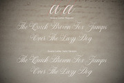 Quens Letter Script, a Script Font by Suza Studio (Thumbnail 11 of 13)