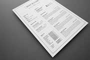 Resume/CV, a Resume Template by UX-group (Thumbnail 5 of 9)
