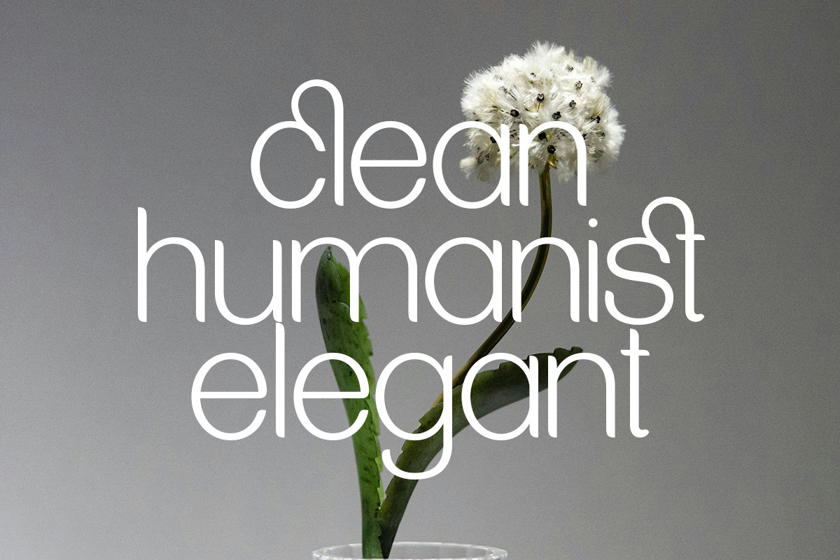 Lepston, a Sans Serif Font by Pista Mova (Photo 9 of 9)