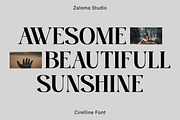 Cirelline, a Serif Font by Zaloma Studio (Thumbnail 3 of 19)
