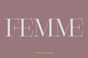 Cesso: Ligature Serif, a Serif Font by That That Creative (Thumbnail 3 of 17)