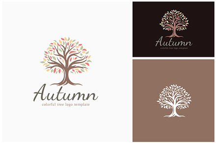 Autumn Fall Oak Maple Tree Leaf Logo, a Branding & Logo Template by Enola99d