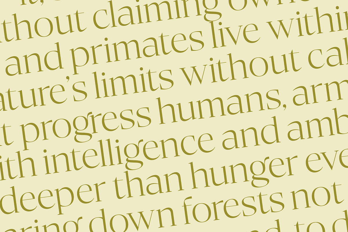 Bigest Karath Thin Serif Display, a Serif Font by timelesstype.co (Photo 15 of 20)