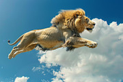 116 Flying animals, an Animal Photo by Handmadefont (Thumbnail 76 of 119)