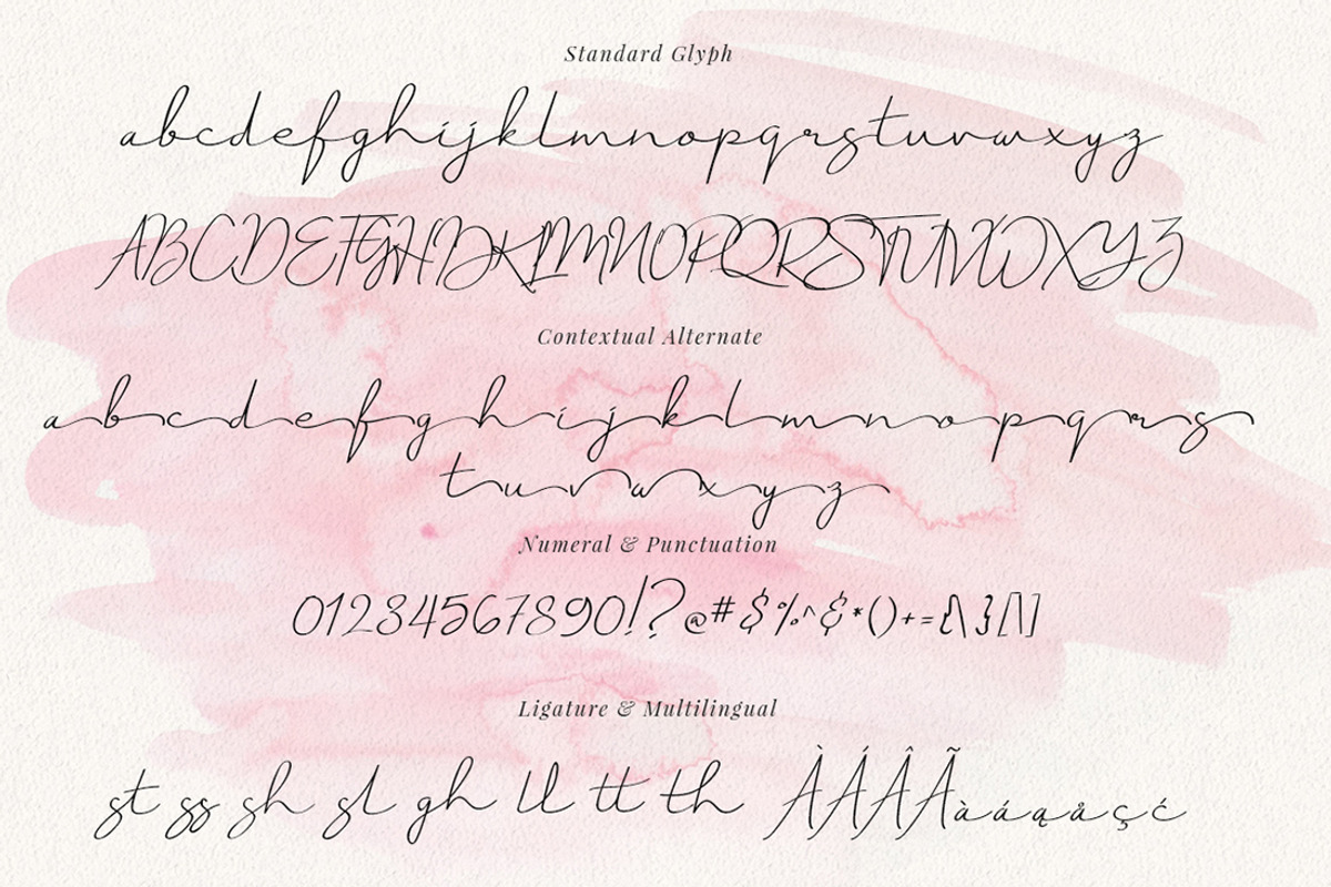 Just Signature Business Font preview 8