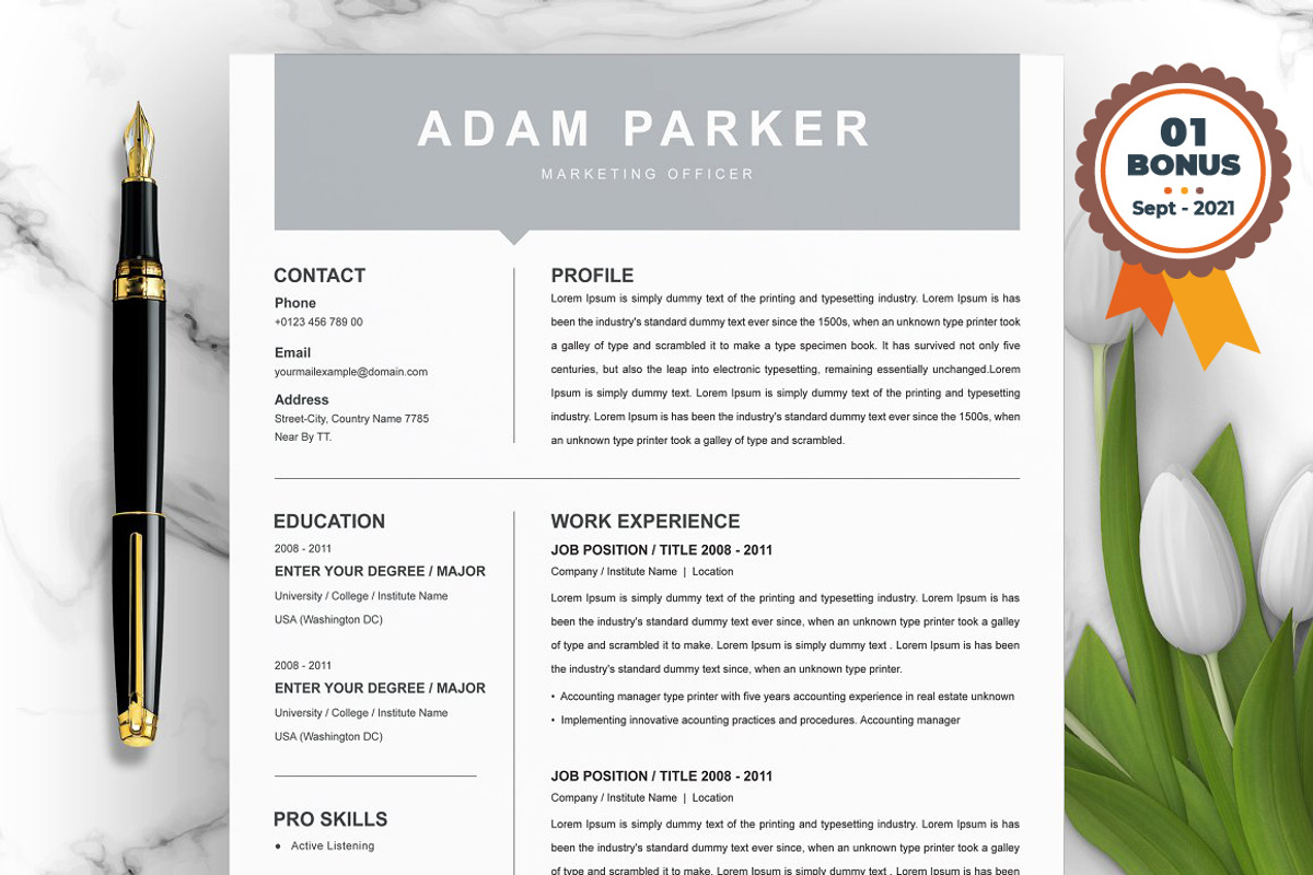 Resume/CV Bundle | 200+ for $29, a Resume Template by ResumeInventor (Photo 192 of 207)