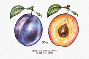 Watercolor Fruit Coctail, a Food Illustration by Chelovector (Thumbnail 2 of 5)