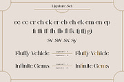 Ogilen, a Serif Font by Nathatype (Thumbnail 10 of 10)