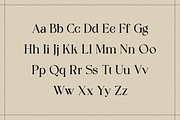 Vagabon Mighten- Display Serif Font, a Serif Font by RockboyStd (Thumbnail 9 of 12)