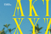 East Gates, a Symbol Font by Nathatype (Thumbnail 9 of 11)