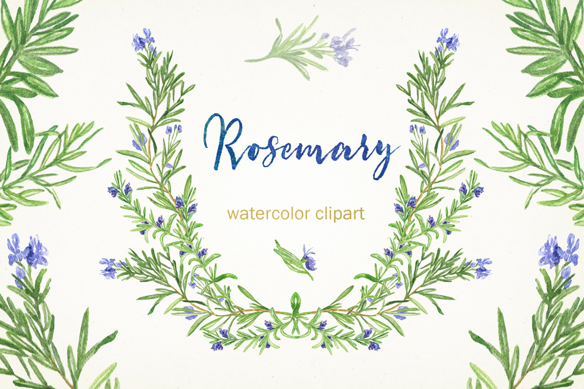 Rosemary. Watercolor clip art., a Decorative Illustration by LABFcreations (Photo 4 of 5)