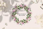 Magnolia bloom - spring floral set, an Illustration by long summer (Thumbnail 5 of 10)