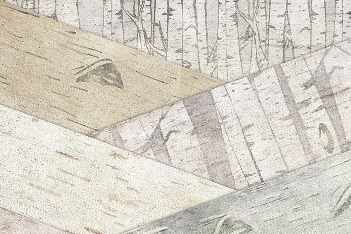 Birch Wood Background Images preview 3