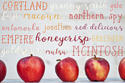 Dusky Pines Font Duo + Illustrations, a Script Font by Kellie Jayne Studio (Thumbnail 2 of 12)