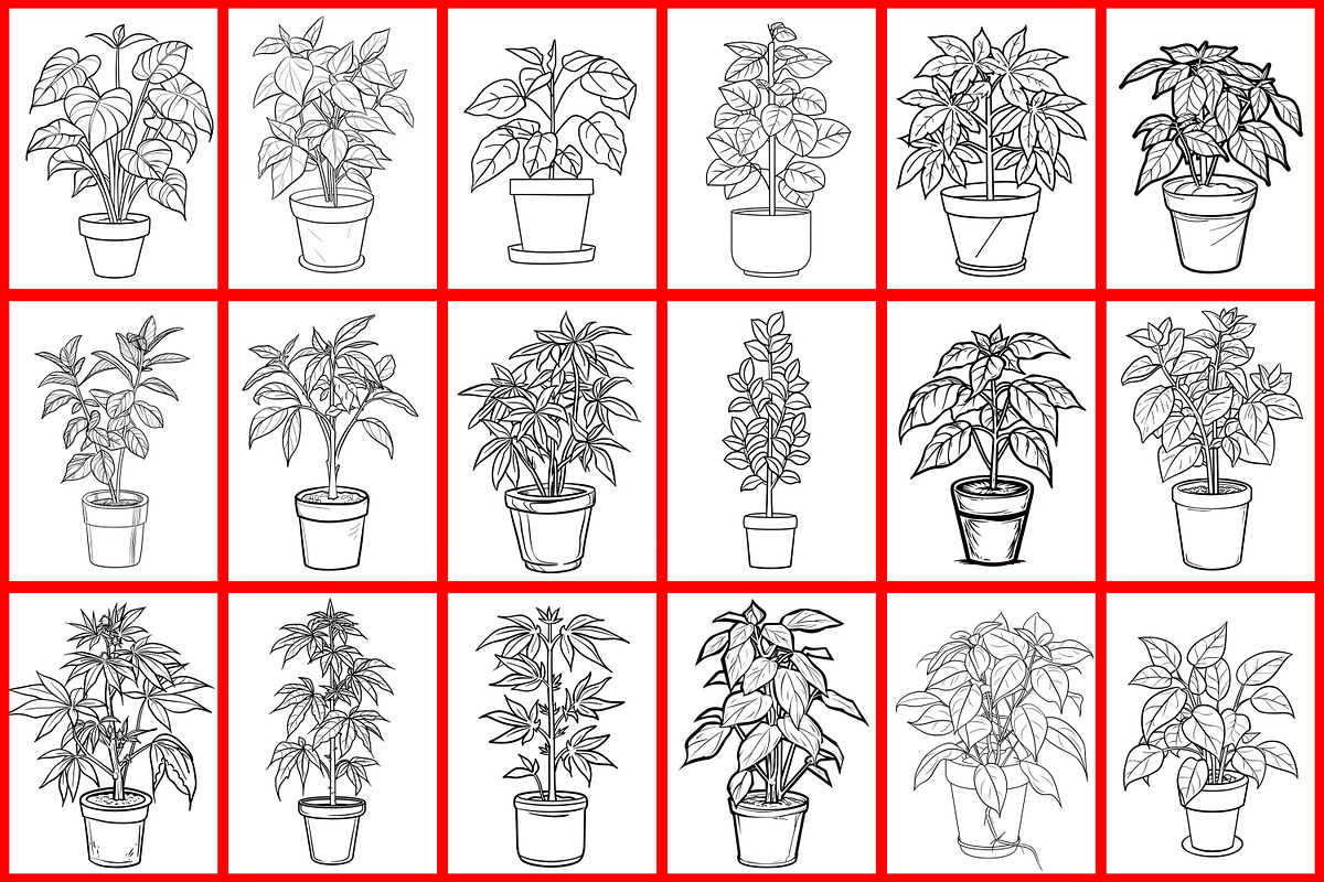 Pot Plant Coloring Page, a Graphic by Forhadx5 (Photo 4 of 6)
