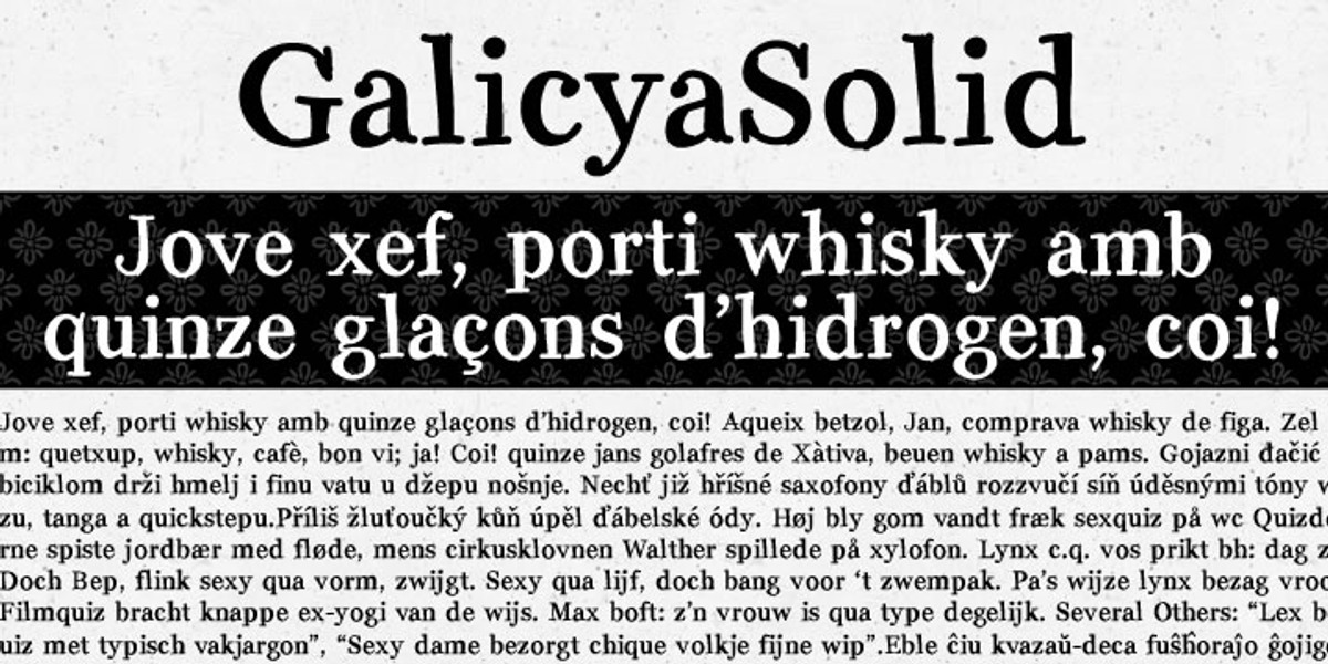 Galicya, a Serif Font by GRIN3 (Nowak) (Photo 3 of 3)