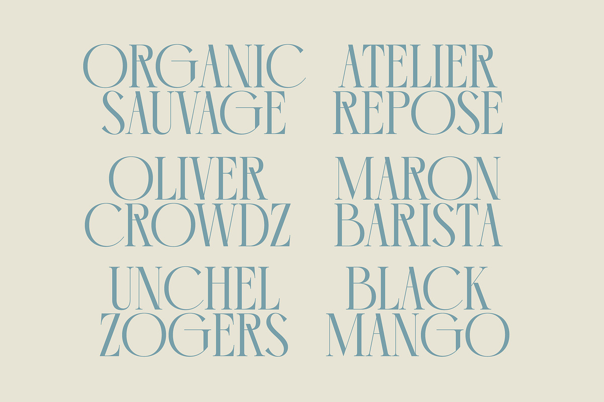 Comela Elegant Ligature Serif, a Serif Font by timelesstype.co (Photo 6 of 20)