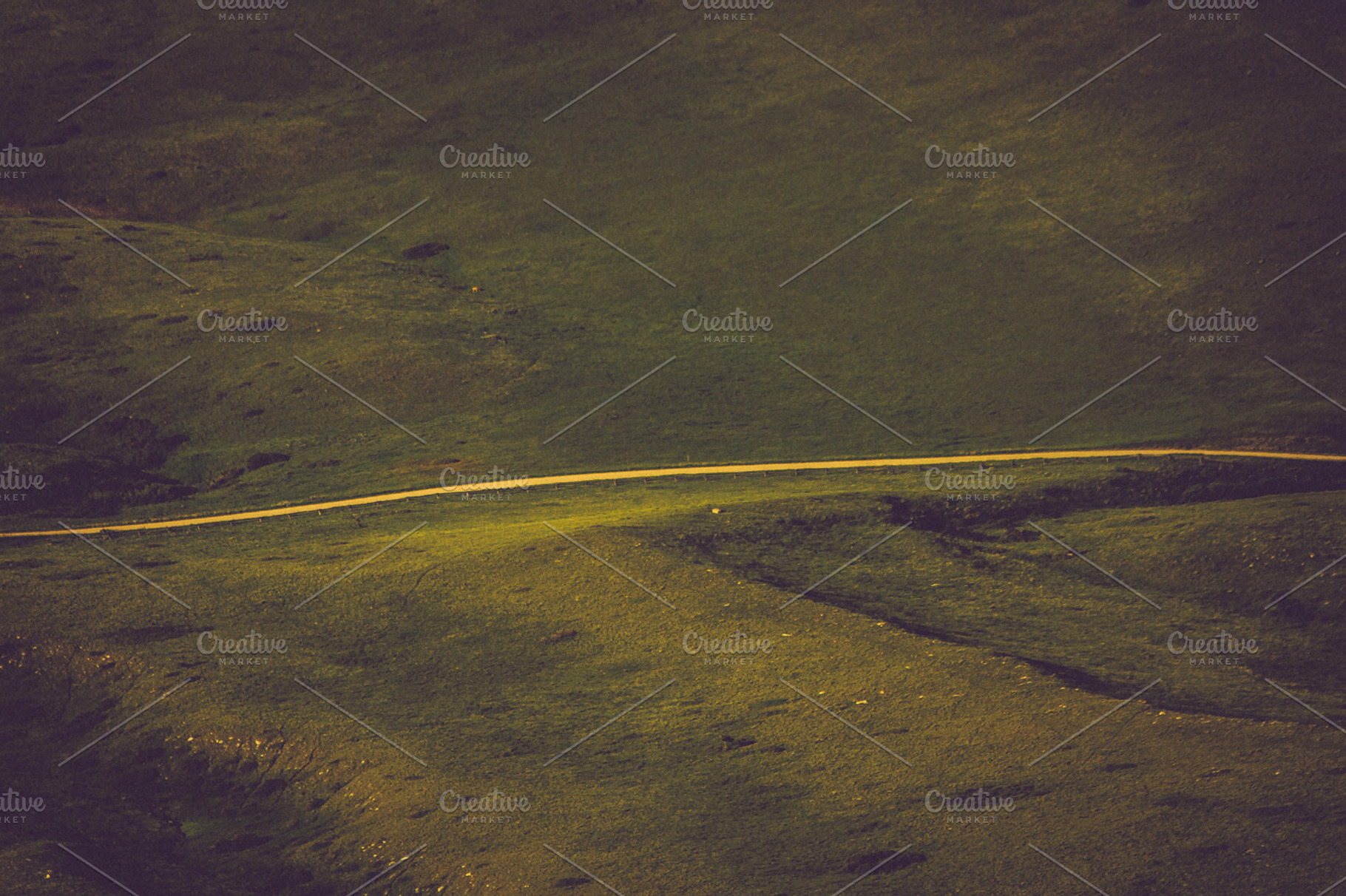 Bighorn National Forest Featuring Bighorn National Forest Road And Hills