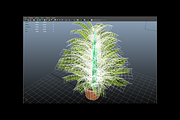 Indoor Plant : Fern, a Plants & Tree 3D Model by Kindesigns (Thumbnail 4 of 4)