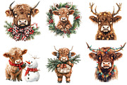Christmas Highland Cow Clipart, an Illustration by SinaCreation (Thumbnail 3 of 7)