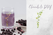 Currant blossom, a Decorative Illustration by MsFlaffy (Thumbnail 9 of 9)
