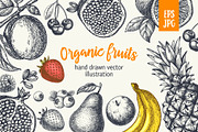 Fruits. Hand drawn collection., a Food Illustration by natadanko (Thumbnail 1 of 4)