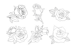 Rose Outline Set 2 Procreate Brush