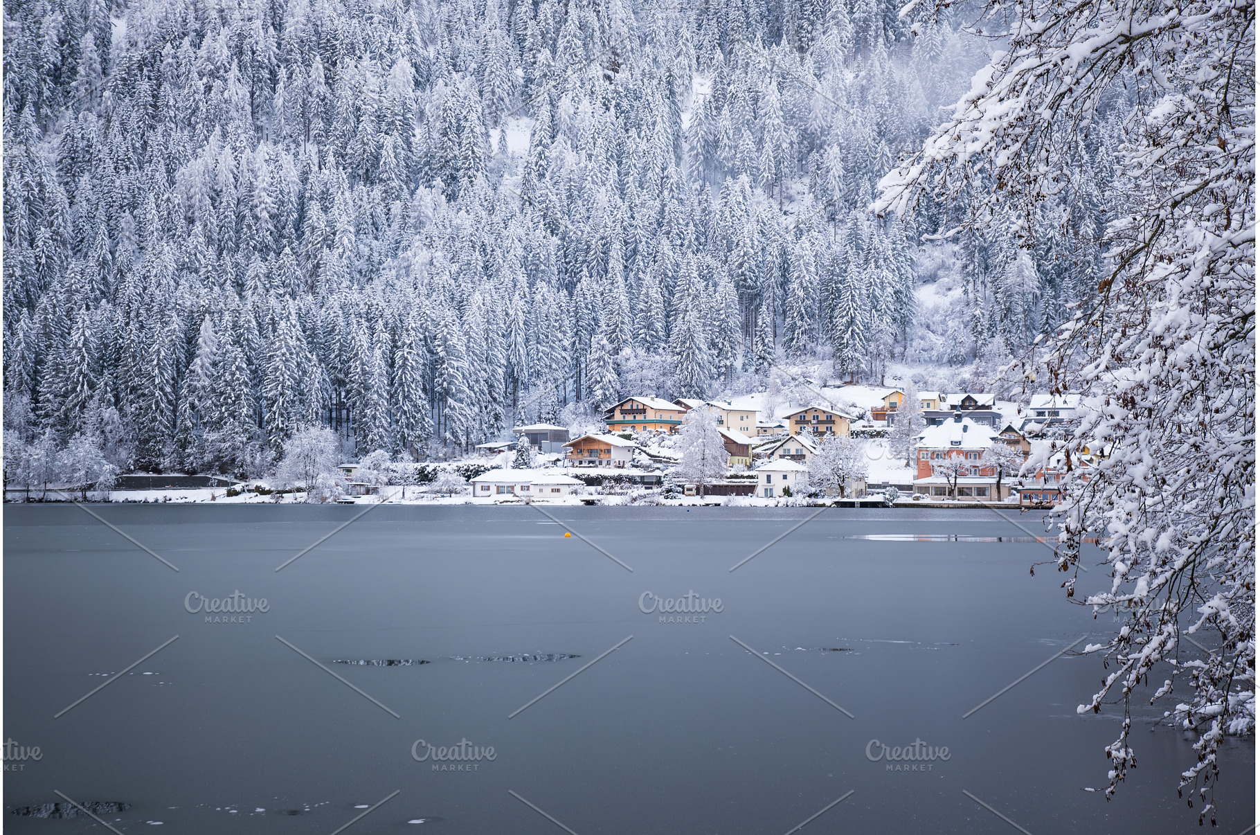 Panorama view of Feldsee lake and, a Nature Photo by MadPhotos