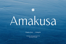 ED Amakusa - Modern Display Font