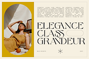 Mile Heights - Elegant Display Serif, a Serif Font by Surplus Type Co (Thumbnail 2 of 10)