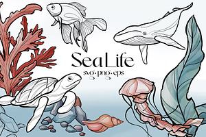 Sea Life. Line art and color