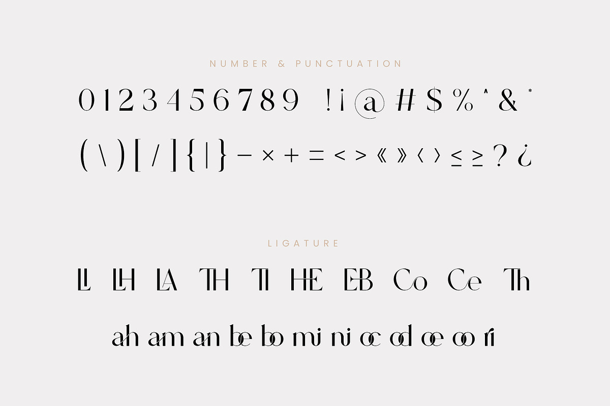 Stailen Modern Serif Font, a Serif Font by Idea Studio (Photo 11 of 12)