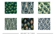 Peacock Feather Animal Print Designs, a Pattern Graphic by karenfoleyphoto (Thumbnail 4 of 11)