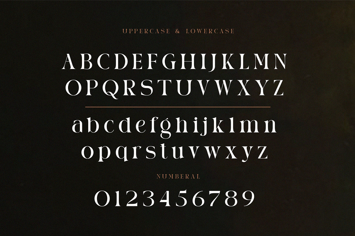 AURA LUXESS, a Serif Font by ToniStudio (Photo 8 of 10)