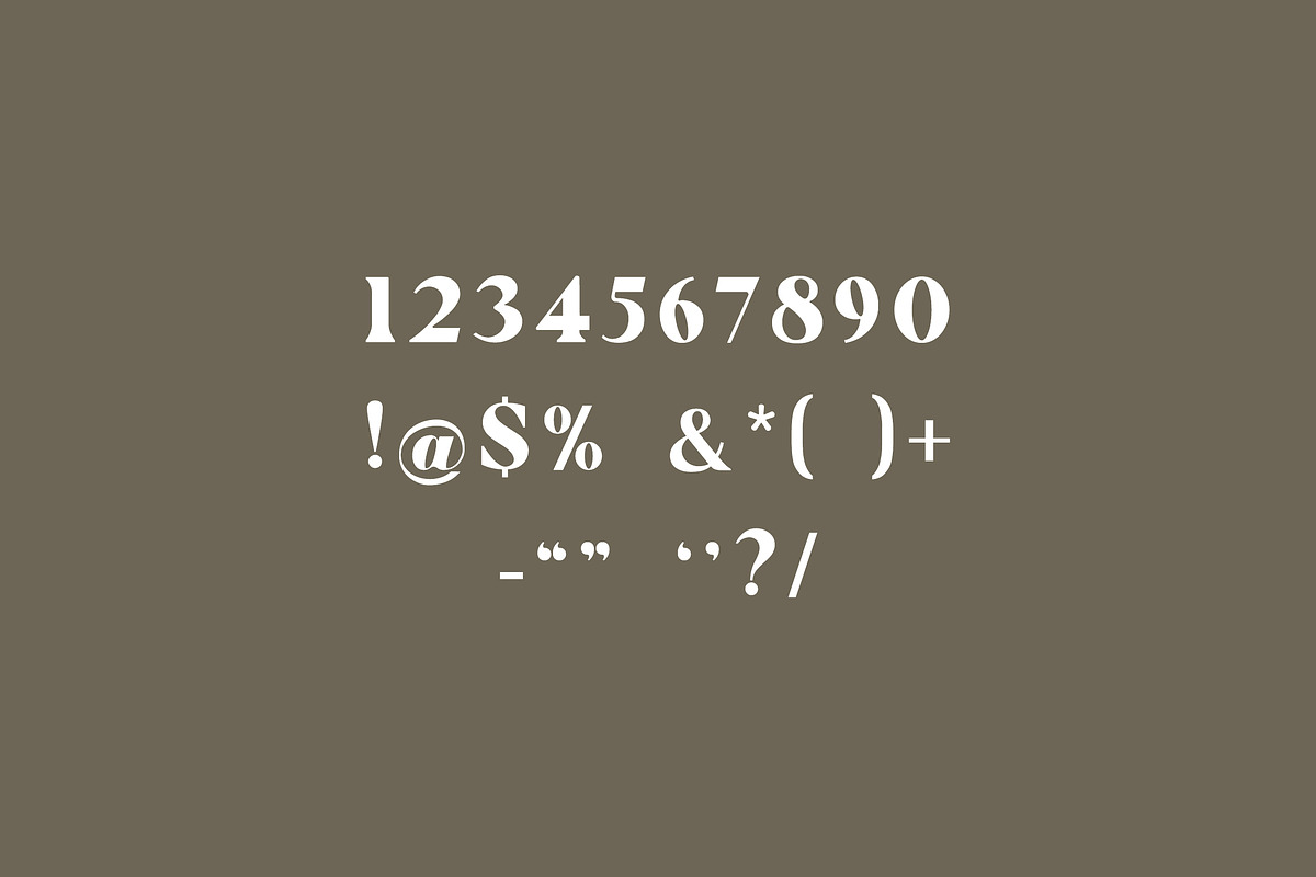 Pollinator Display Serif Font, a Serif Font by UICreative (Photo 11 of 12)