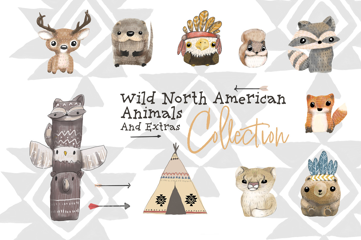 American Animals & Extras Collection, an Animal Illustration by sarahnalder (Photo 1 of 7)