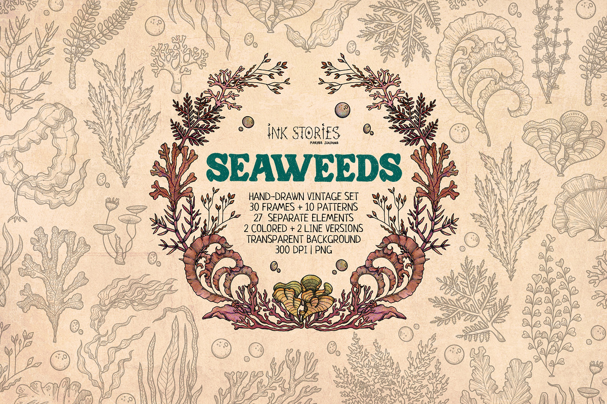 Seaweeds, an Object Illustration by Ink Stories (Photo 1 of 24)