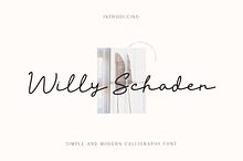 Willy Schaden Script