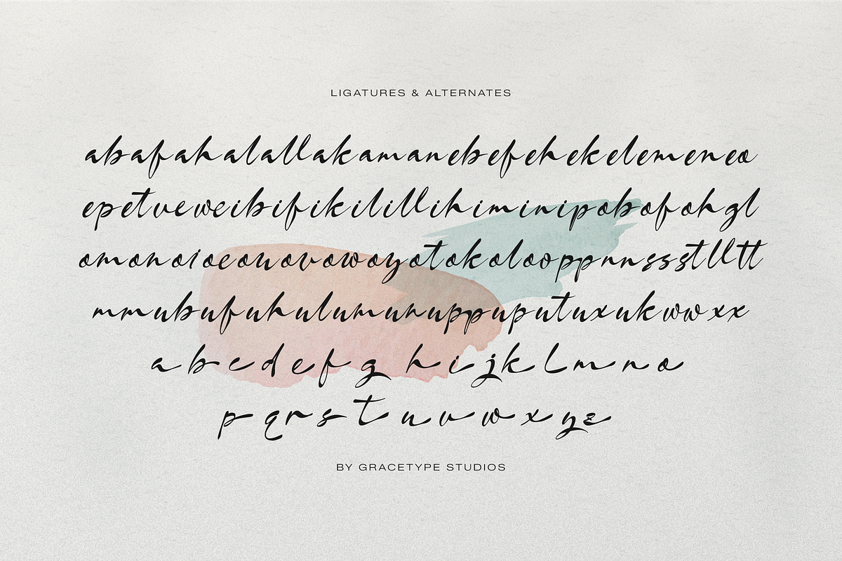 Burgiento | Modern Signature Script, a Script Font by gracetype_studio (Photo 12 of 12)