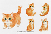 15 Bundle Watercolor Orange Kitten, an Animal Illustration by Morspective (Thumbnail 5 of 8)