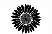 Floral Flower Vector Collection, an Illustration by Designer_Momina (Thumbnail 6 of 9)